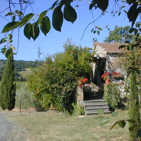 Piccolo Sole Villa Montescudaio Esterno foto